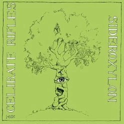 Hot Sale ⭐ CELIBATE RIFLES - Sideroxylon Vinyl | Pop Vinyl LPs 😉