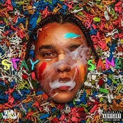 New 🤩 Ocean Wisdom - Stay Sane Vinyl | Rap/Hip-Hop Vinyl LPs 💯