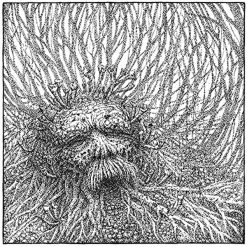 Coupon 👍 Nemorous - Nemorous Vinyl | Metal Vinyl LPs 🥰