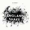 Best Pirce 🔥 PJ Harvey - Let England Shake Vinyl | Rock Vinyl LPs 😀