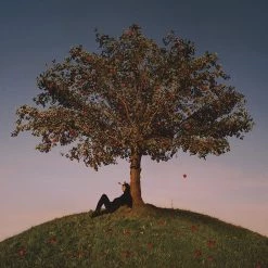 Buy 🤩 slowthai - Tyron Vinyl | Rap/Hip-Hop Vinyl LPs 🤩