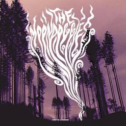 Deals 🥰 The Moondoggies - Don't Be A Stranger Vinyl | Rock Vinyl LPs ⌛