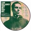 Buy ⭐ Liam Gallagher - Why Me Why Not Picture Disc Vinyl | Rock Vinyl LPs ✔️