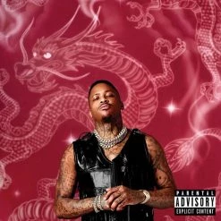 Cheap 🌟 YG - Stay Dangerous Vinyl | Rap/Hip-Hop Vinyl LPs 🔥