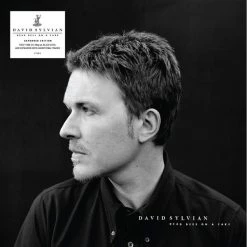 Top 10 🧨 David Sylvian - Dead Bees On A Cake Vinyl | Dance Vinyl LPs 🛒