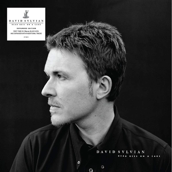 Top 10 🧨 David Sylvian - Dead Bees On A Cake Vinyl | Dance Vinyl LPs 🛒