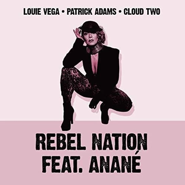 Best reviews of đ€© Louie Vega / Patrick Adams - Rebel Nation (Danny Krivit / Soul Clap / Carl Craig / Felix Da Housecat X Chris Trucher Remixes) (Feat. Anane) Vinyl | Dance Vinyl LPs â