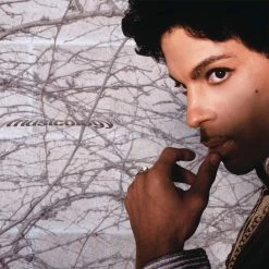Best Pirce 🛒 Prince - Musicology Vinyl | Dance Vinyl LPs 😉
