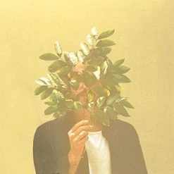 Flash Sale ✔️ Fkj - French Kiwi Juice Vinyl | Dance Vinyl LPs 😉