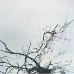 Wholesale ✔️ Yutaka Hirose - Nova Plus 4 CD | CDs 😀