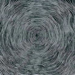 Promo 😀 Bleeding Heart Pigeons - Is Vinyl | Dance Vinyl LPs 👏