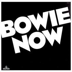 Promo 🧨 David Bowie - Now Vinyl | Dance Vinyl LPs 🔥