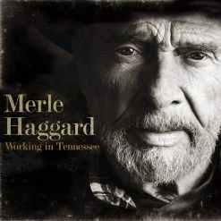 Wholesale 🎉 Merle Haggard - Working In Tennessee Vinyl | Folk Vinyl LPs 🔔