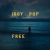 Top 10 🎉 Iggy Pop - Free Vinyl | Jazz Vinyl LPs 🌟