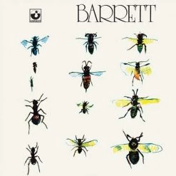 Flash Sale 👏 Syd Barrett - Barrett Vinyl | Rock Vinyl LPs 😉