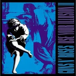 Budget ⭐ Guns N Roses - Use Your Illusion 2 Vinyl | Rock Vinyl LPs 😀
