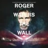 Best deal 😍 Roger Waters - The Wall Vinyl | Rock Vinyl LPs 🔥