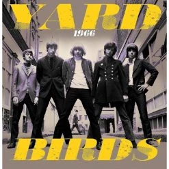 Cheapest 🎉 Yardbirds - 1966 - Live & Rare Vinyl | Rock Vinyl LPs ❤️