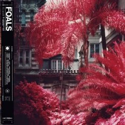 New 😀 Foals - Everything Not Saved Will Be Lost Part 1 Vinyl | Rock Vinyl LPs ✨