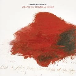 New 🛒 Eraldo Bernocchi ‎– Like A Fire That Consumes All Before It Vinyl | Dance Vinyl LPs 😀