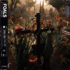 Best deal 🥰 Foals ‎– Everything Not Saved Will Be Lost: Part 2 Vinyl | Rock Vinyl LPs 👏