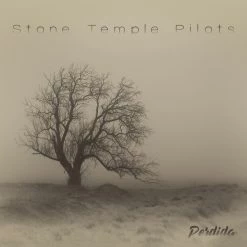 Top 10 🤩 Stone Temple Pilots ‎– Perdida Vinyl | Rock Vinyl LPs 🔔