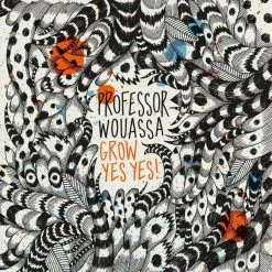Flash Sale 👍 Professor Wouassa - Grow Yes Yes! Vinyl | Jazz Vinyl LPs 🛒
