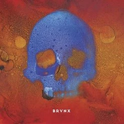 Brand new 🌟 BRVNX - V Vinyl | Rock Vinyl LPs 🎉