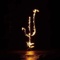 Best Pirce ✔️ Demon Head - Hellfire Ocean Void Vinyl | Metal Vinyl LPs 😍