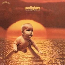 Top 10 ✨ Paul Kantner - Sunfighter Vinyl | Rock Vinyl LPs 💯