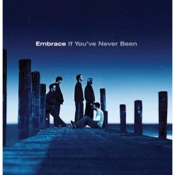 Hot Sale 👏 Embrace - If You've Never Been Vinyl | Rock Vinyl LPs 🌟