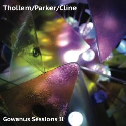 Best Pirce 🌟 Thollem, Parker & Cline - Gowanus Sessions II Vinyl | Jazz Vinyl LPs ✨