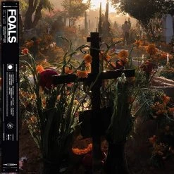 Coupon 🛒 Foals - Everything Not Saved Will Be Lost Part 2 Limited Edition Picture Disc Vinyl | Rock Vinyl LPs 🤩