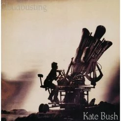 Outlet ❤️ Kate Bush - Cloudbusting Picture Disc Vinyl | Rock Vinyl LPs 😉