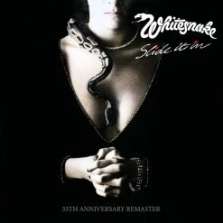 Top 10 ✨ Whitesnake - Slide It In Vinyl | Rock Vinyl LPs 🎁