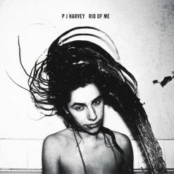 Wholesale 😉 P J Harvey - Rid Of Me Vinyl | Rock Vinyl LPs ✨