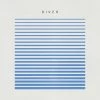 Best Pirce 💯 Rain Phoenix - River Blue Transparent Vinyl | Rock Vinyl LPs 🎁