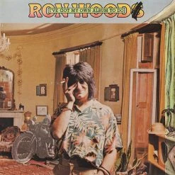 Budget 😉 Ron Wood - I've Got My Own Album to Do Vinyl | Rock Vinyl LPs 😀