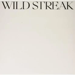 Best Pirce ⌛ N.Y.C.K. - Wild Streak Vinyl | Dance Vinyl LPs 🎉