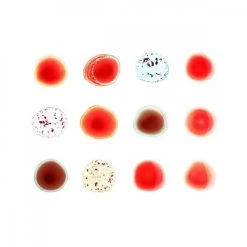 Promo ✨ Peter Gabriel - Scratch My Back / And I'll Scratch Yours Vinyl | Dance Vinyl LPs ✔️