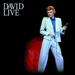Budget ✨ David Bowie - David Live Vinyl | Rock Vinyl LPs ❤️