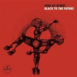 Best deal 😉 Sons Of Kemet - Black To The Future Vinyl | Jazz Vinyl LPs 🎉