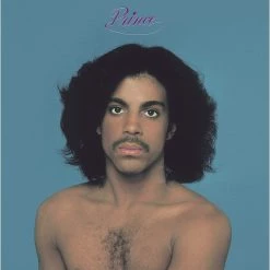 Top 10 🎁 Prince - Prince Vinyl | Rock Vinyl LPs 💯