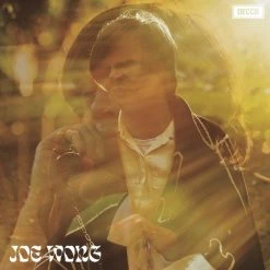 Promo 🧨 Joe Wong - Nite Creatures Deluxe Edition Vinyl | Rock Vinyl LPs ✨