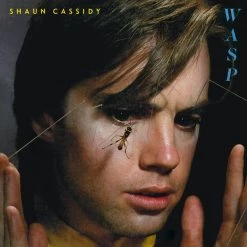 Best Pirce 😉 Shaun Cassidy - Wasp Vinyl | Rock Vinyl LPs 👍
