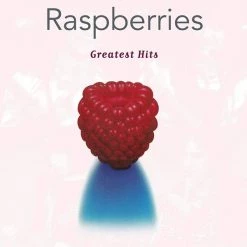 Top 10 🎉 The Raspberries - Greatest Hits Vinyl | Rock Vinyl LPs ✨