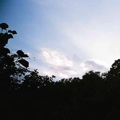 Cheap 😍 CELAR - Memory Repetitions CD | Pop CDs ✨