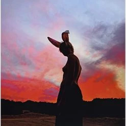 Top 10 ❤️ Biig Piig - The Sun Is Bleeding Vinyl | Rock Vinyl LPs 🌟