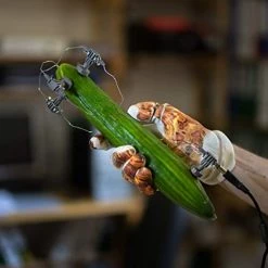 Buy 😍 Gajek - Vitamin D Vinyl | Pop Vinyl LPs 🌟