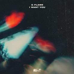 Best reviews of 👍 G Flame - I Want You Vinyl | Dance Vinyl LPs 👍